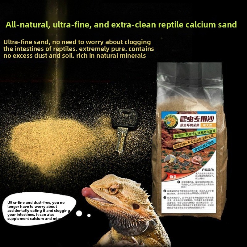 Reptile Sand Calcium Sand for  - Calcium Powder Reptile recension och pris