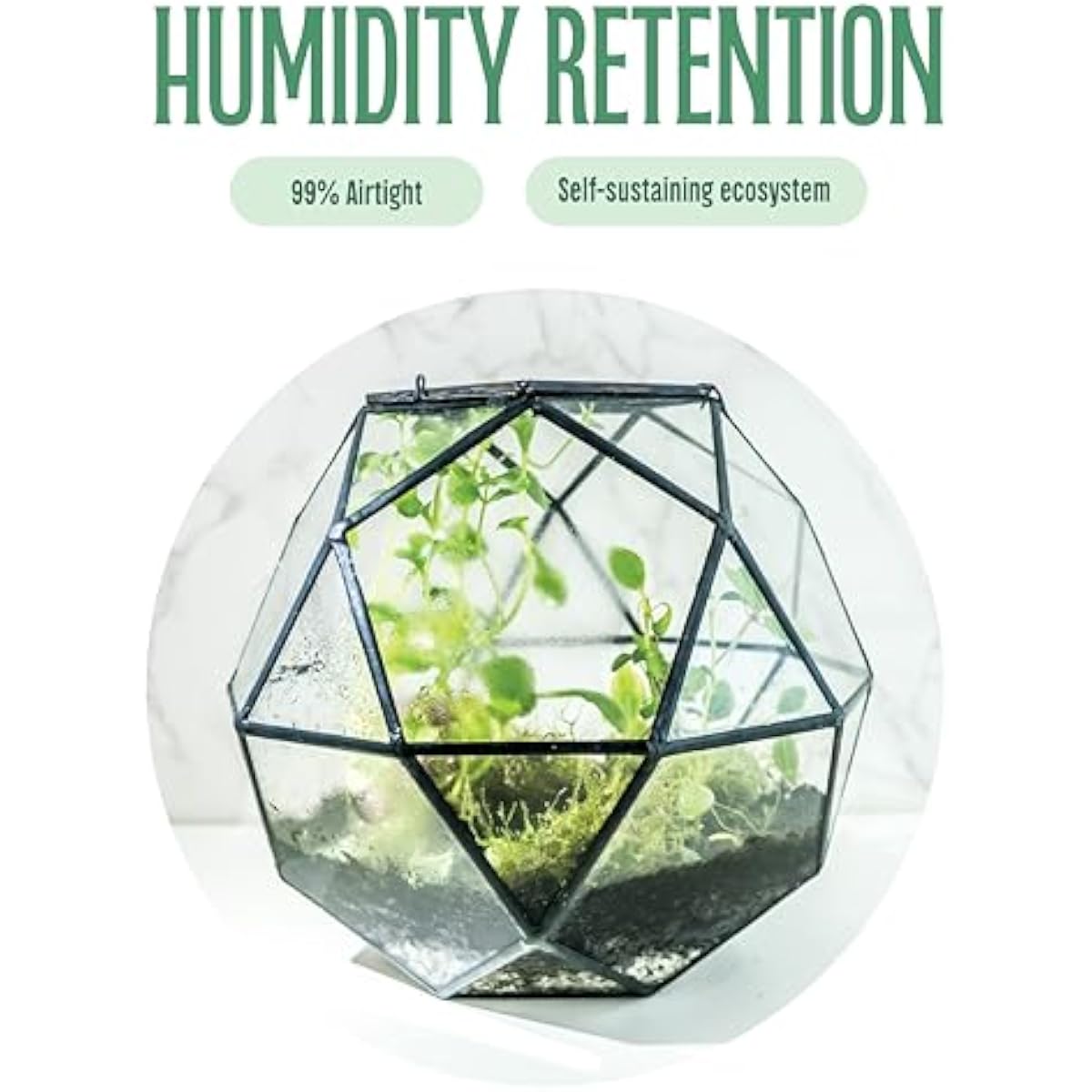 Geometric Sphere Terrarium wit - Glass Door Hinge recension och pris