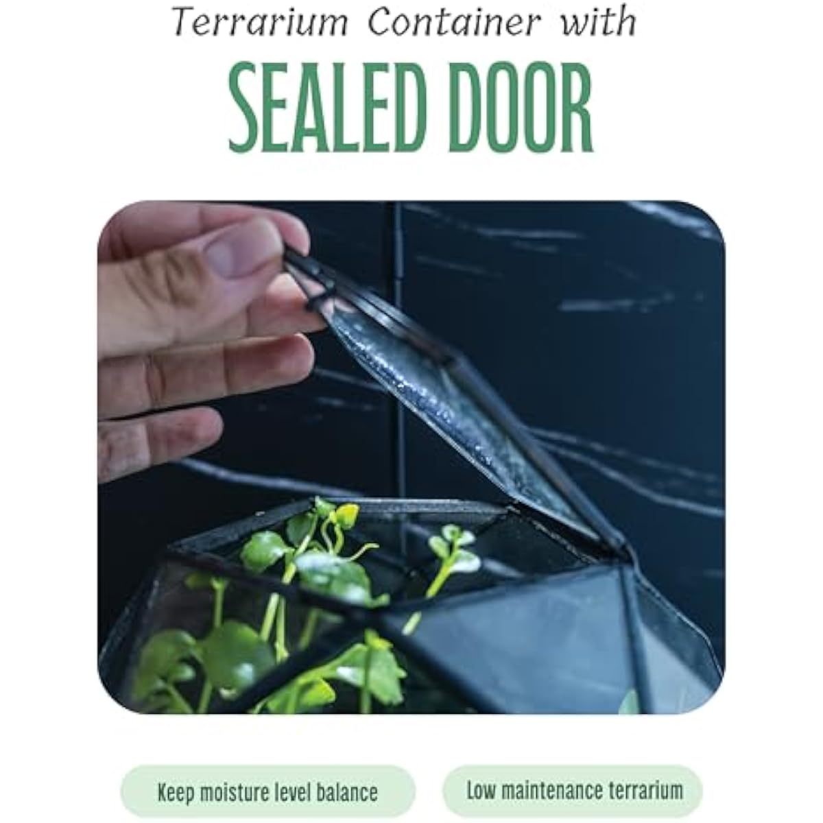 Geometric Sphere Terrarium wit - Glass Door Hinge recension och pris