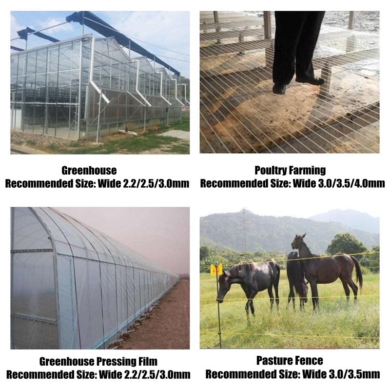 50m Plastic Steel Wire Agricul - Vine Climbing Plastic recension och pris