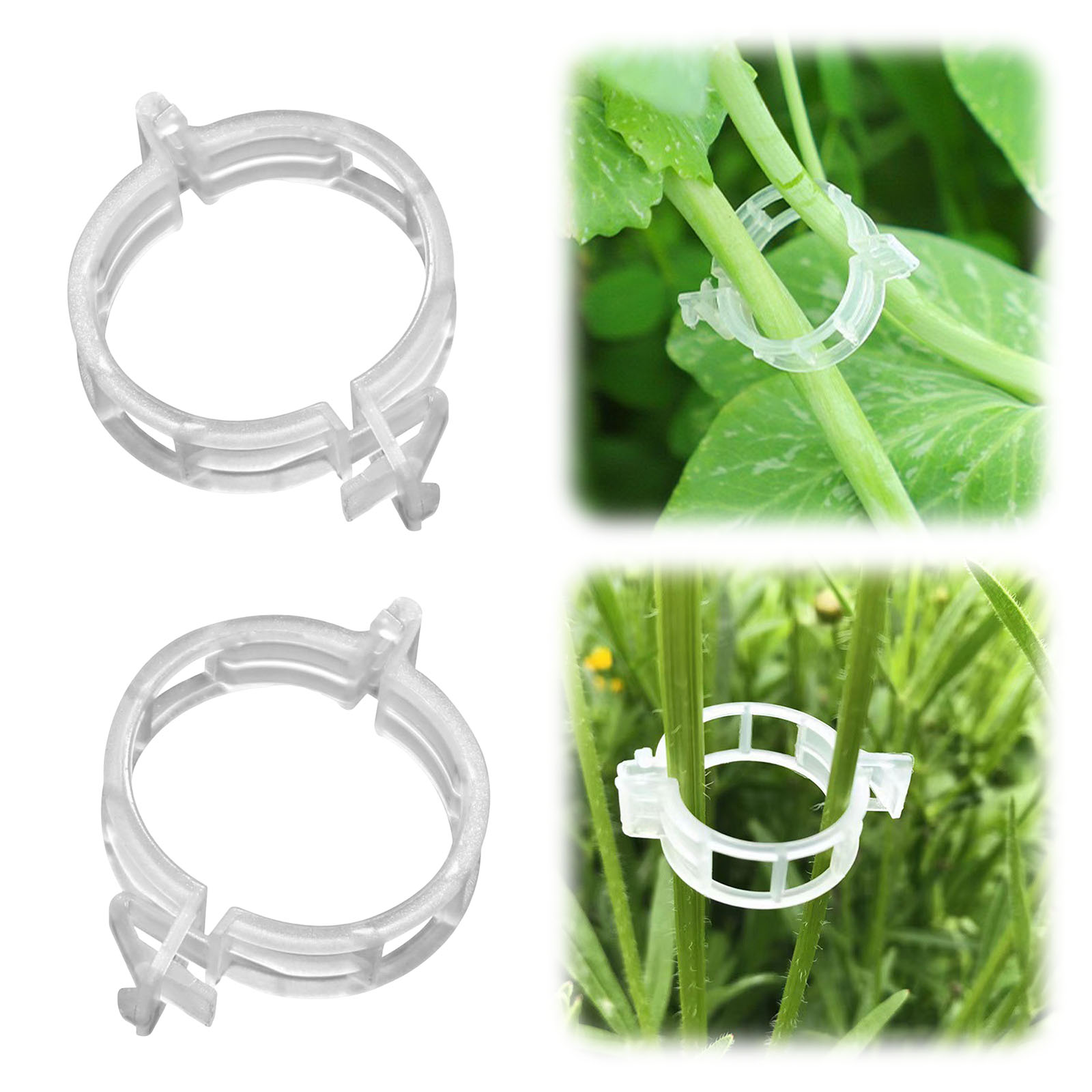 Secured Plastic Plant Clip for - Vine Climbing Plastic recension och pris